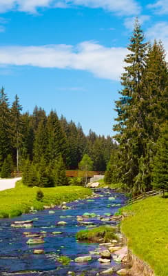 Le parc national de Sumava