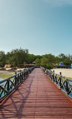L'île de Changuu