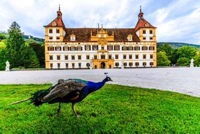 Le château d'Eggenberg