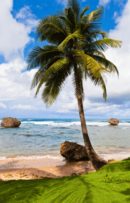 Bathsheba