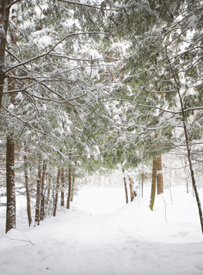 Le parc de la Gatineau