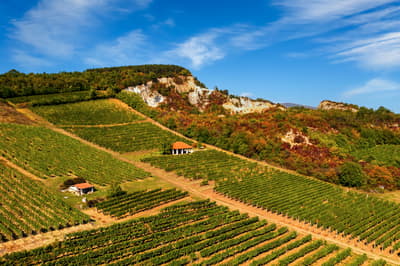 Tokaj
