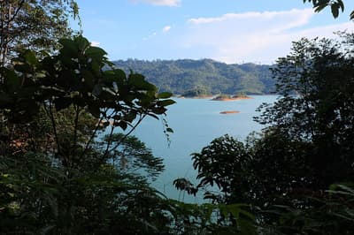 Batang Ai