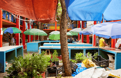Marché Sir Selwyn Selwyn-Clarke