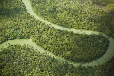 Monkey River