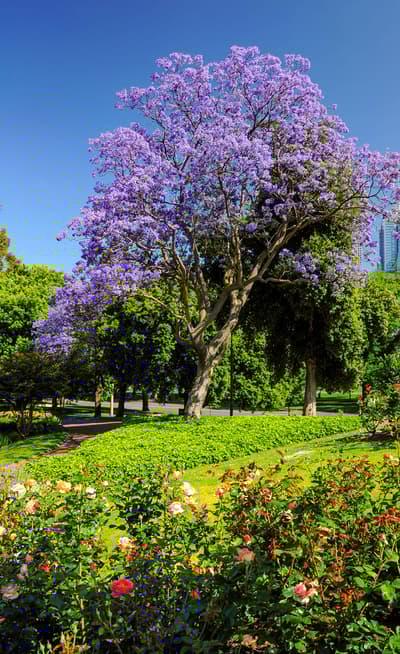 Le Royal Botanic Gardens