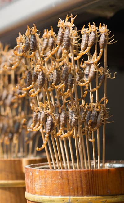 La Wangfujing Snack Street