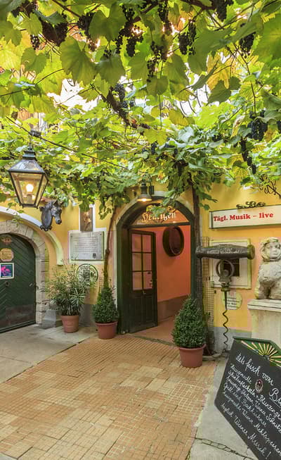 Les tavernes viennoises