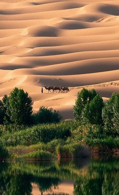 L’oasis de Liwa