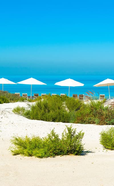 L'île de Saadiyat