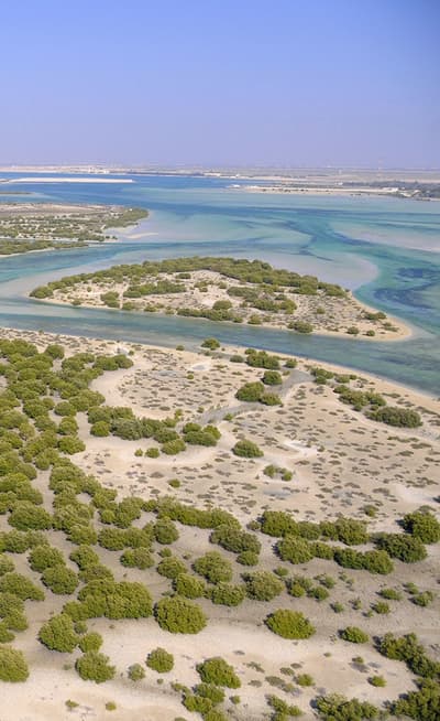 Le Parc National des Mangroves