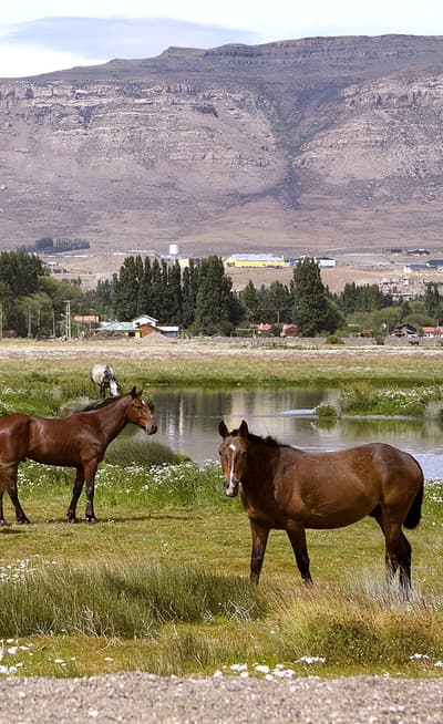 El Calafate