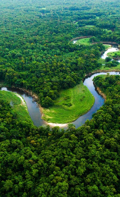L’Amazonie