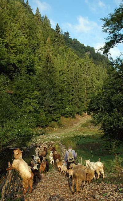 Les Rhodopes orientales