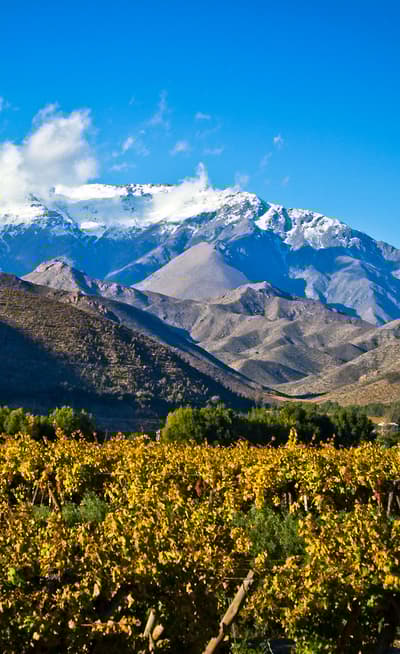 La Vallée de l’Elqui