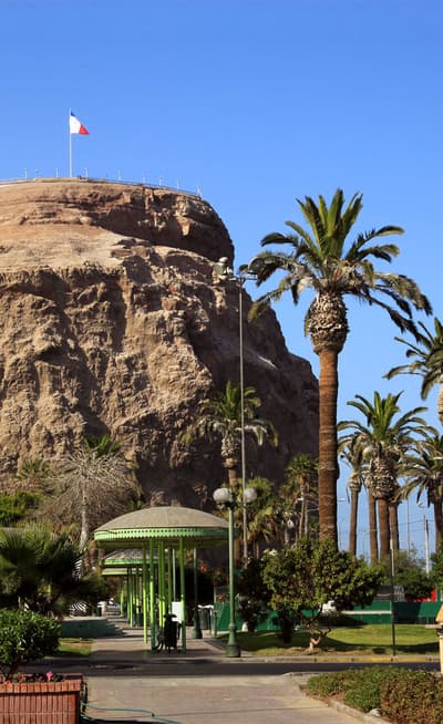Arica