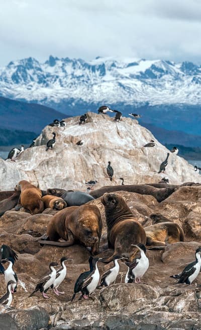 La province « Tierra del Fuego »