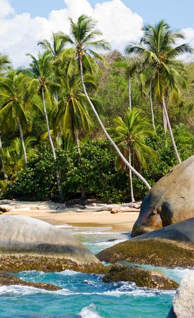Le Parc Naturel de Tayrona