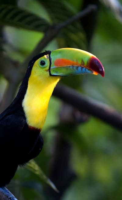 La Sierra Nevada de Santa Marta