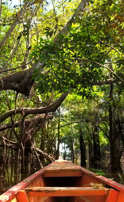 L’Amazonie