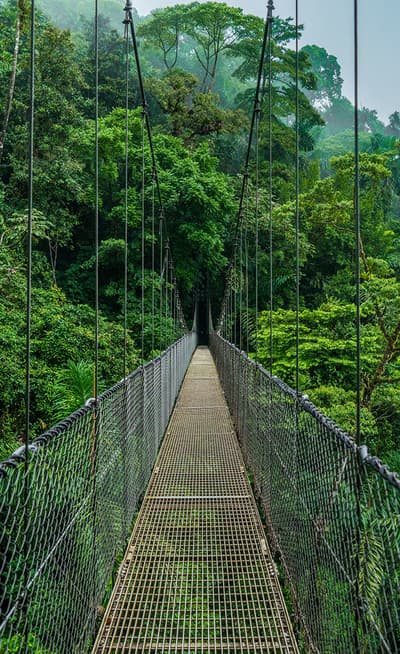 Monteverde 