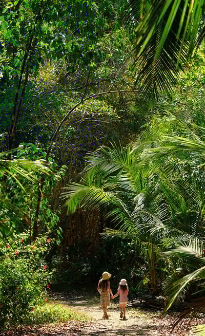 Le Corcovado