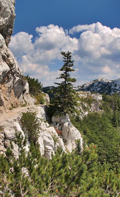 Velebit