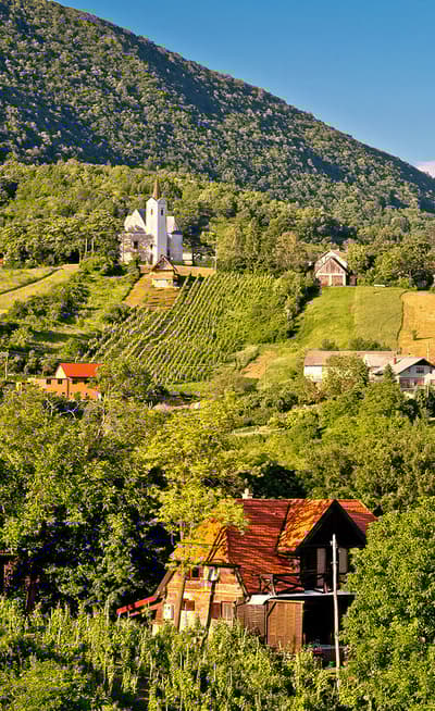 Plesivica