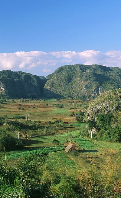 La vallée de Viñales