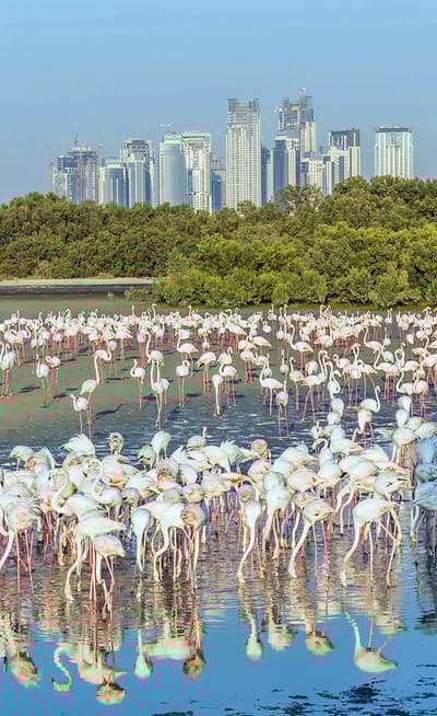 Ras al Khor