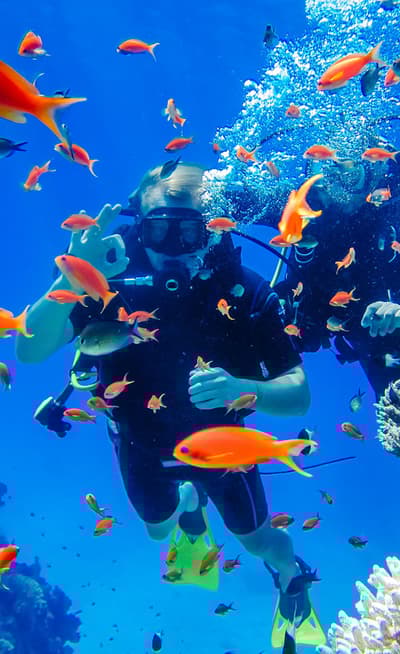 La mer Rouge