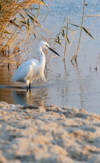 Le Fayoum