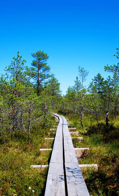 Le Parc National de Lahema
