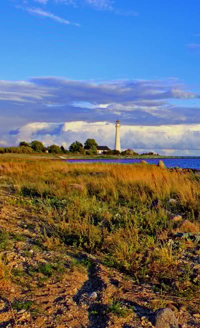 Kihnu