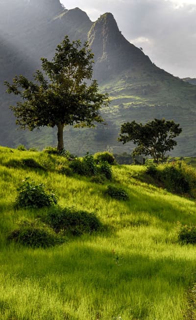 Le Parc National du Simien