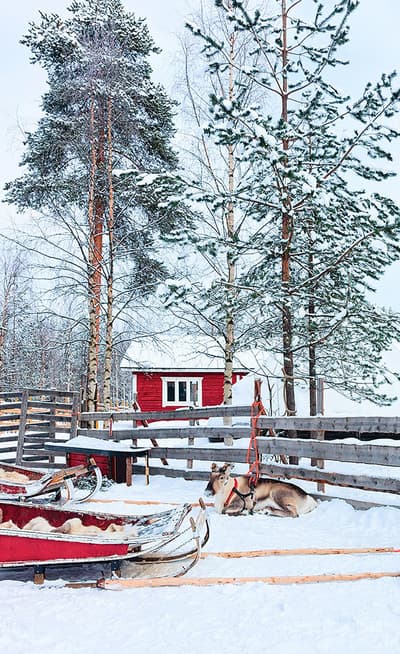 Rovaniemi