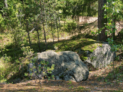 Le Parc national de Nuuksio
