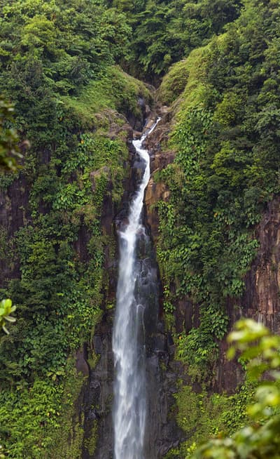 Le Parc National de Guadeloupe