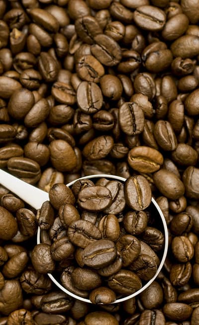 Le musée du café