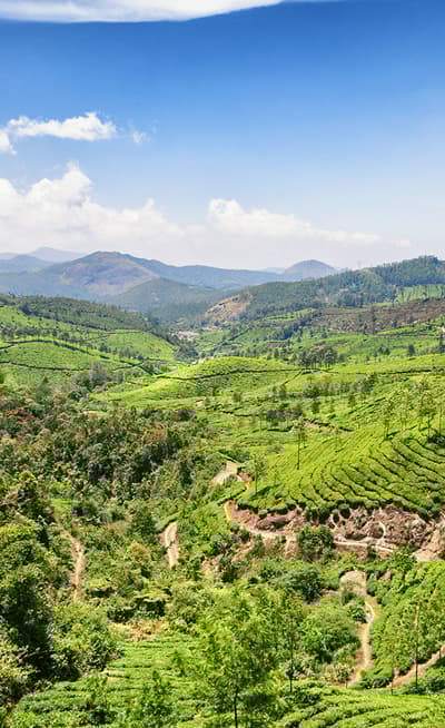 Les Ghats occidentaux