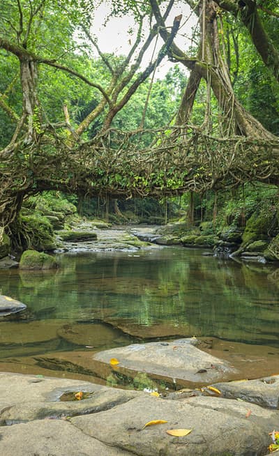 Le Meghalaya