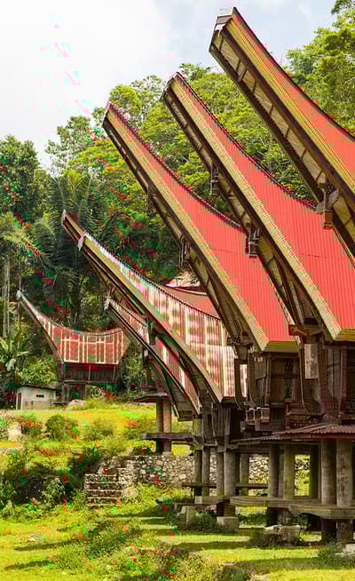 Sulawesi