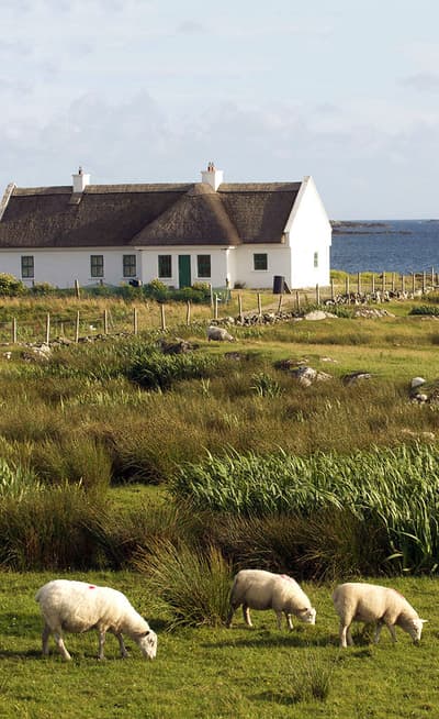 Les lacs du Connemara