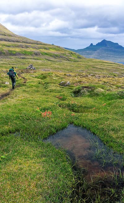 La réserve Naturelle d’Hornstrandir