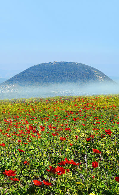 Mont Thabor