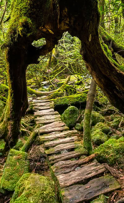 Yakushima