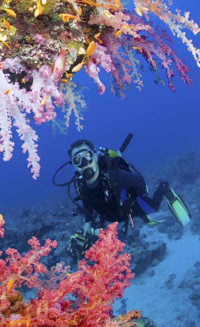 La mer Rouge (Aqaba)