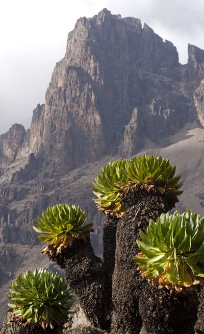 Le mont Kenya