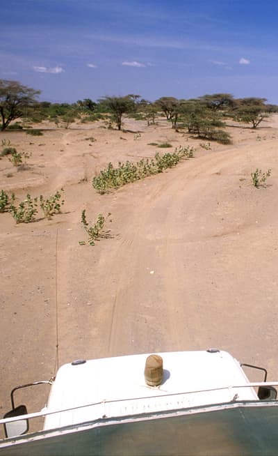 L’île de Lamu