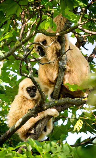 Le Parc National de Nam Kan